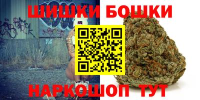 МДПВ Кингисепп
