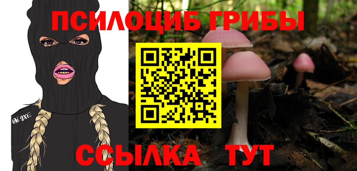 Псилоцибиновые грибы MAGIC MUSHROOMS Коркино